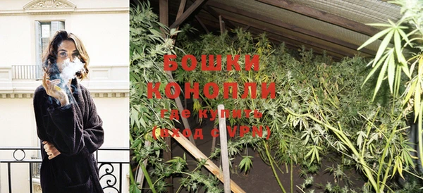 бошки Бородино